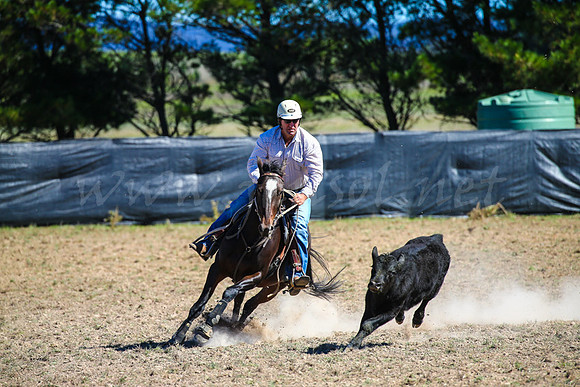 GoulburnCampdraft2017-0519