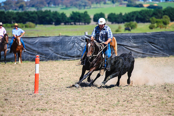 GoulburnCampdraft2017-0439