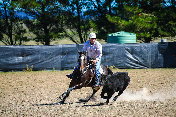 GoulburnCampdraft2017-0522