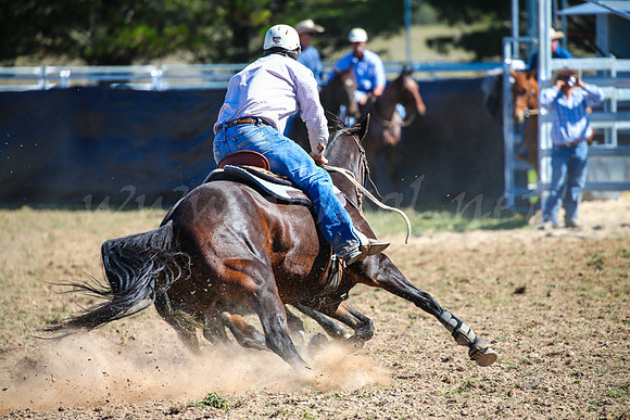 GoulburnCampdraft2017-0534
