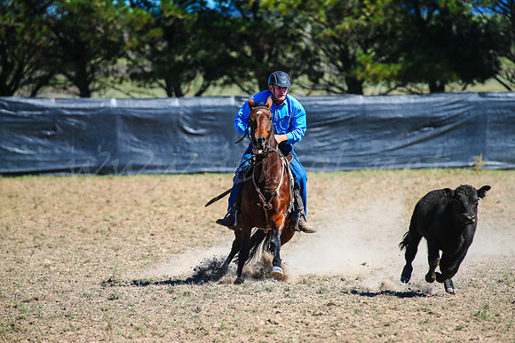 GoulburnCampdraft2017-0448