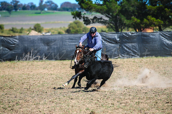 GoulburnCampdraft2017-0367