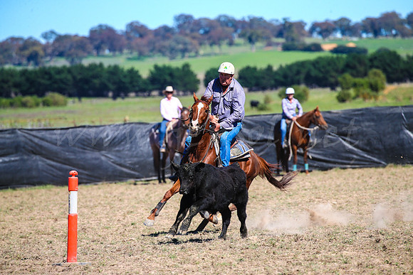 GoulburnCampdraft2017-0397