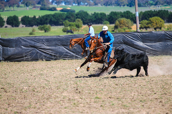 GoulburnCampdraft2017-0493