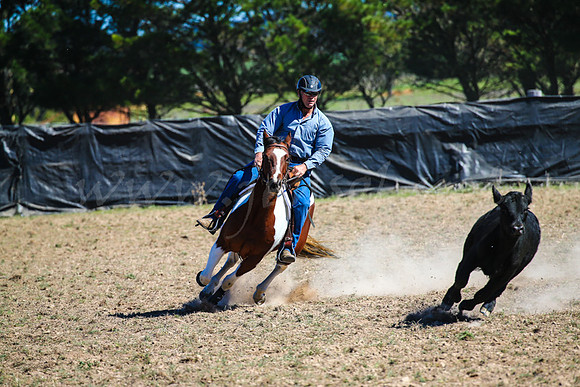 GoulburnCampdraft2017-0595