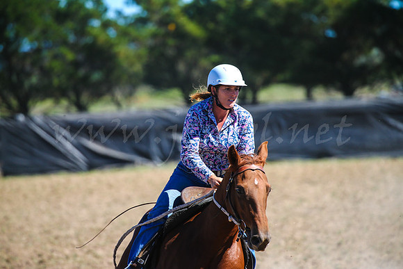 GoulburnCampdraft2017-0609