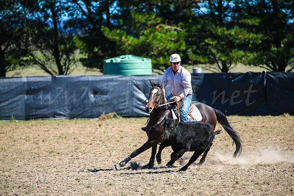 GoulburnCampdraft2017-0532