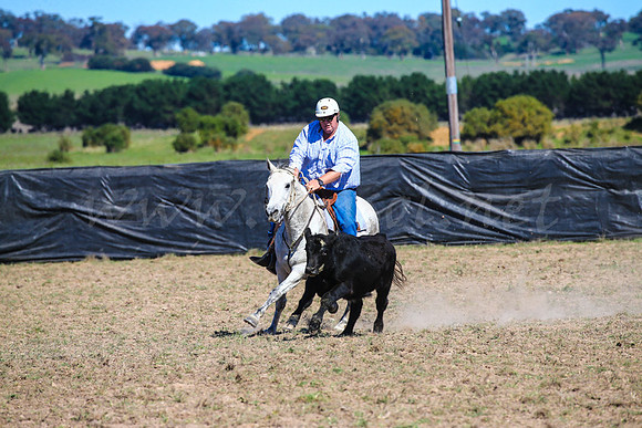 GoulburnCampdraft2017-0294