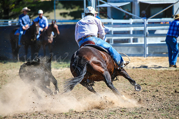 GoulburnCampdraft2017-0541