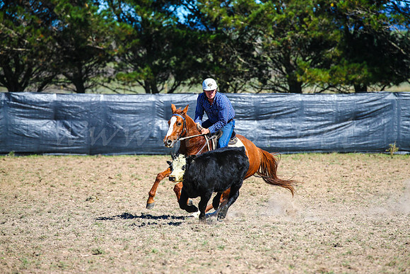 GoulburnCampdraft2017-0223