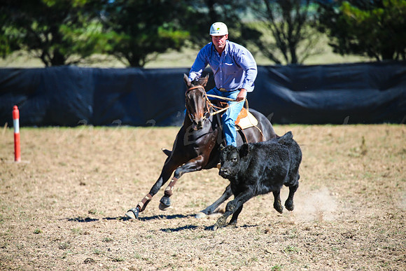 GoulburnCampdraft2017-0345