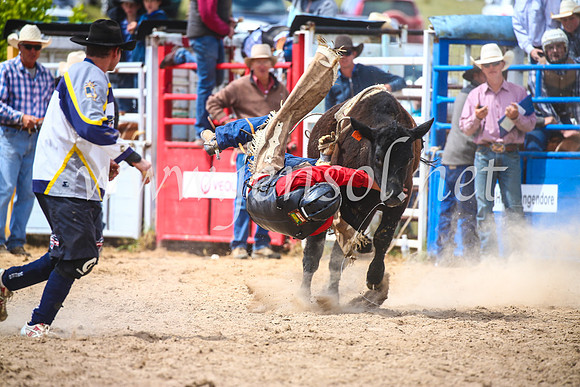 BungendoreRodeo2017_4107
