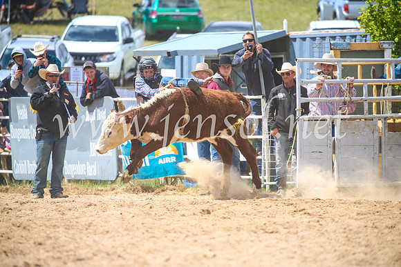 BungendoreRodeo2017_4159