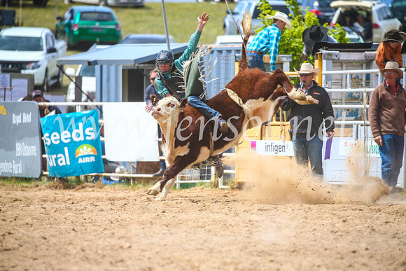 BungendoreRodeo2017_3985