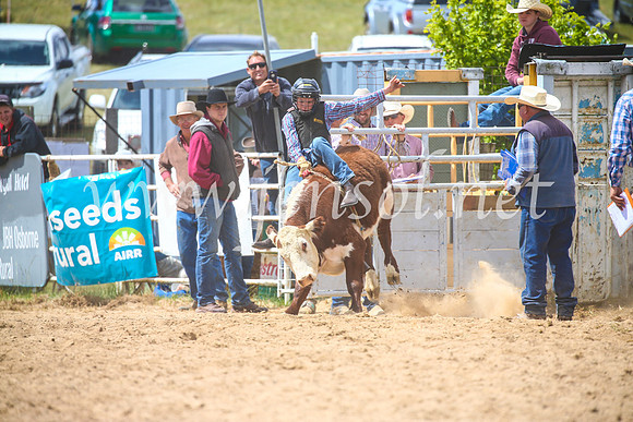 BungendoreRodeo2017_4146