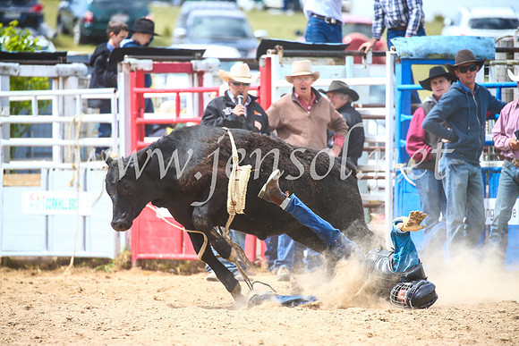 BungendoreRodeo2017_4165