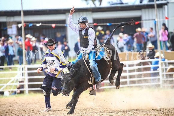 BungendoreRodeo2017_4013