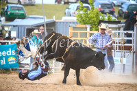 BungendoreRodeo2017_4073