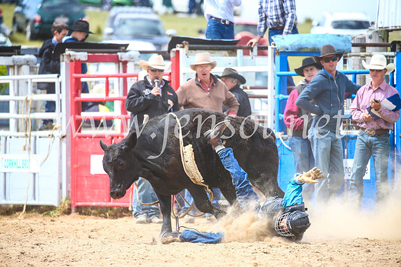 BungendoreRodeo2017_4166