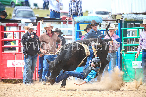 BungendoreRodeo2017_4167