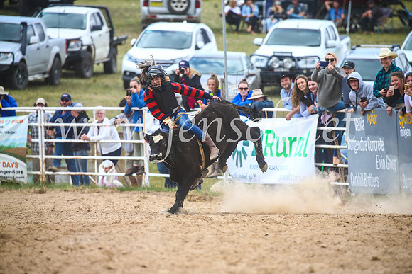BungendoreRodeo2017_4050