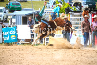 BungendoreRodeo2017_3979