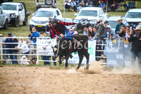 BungendoreRodeo2017_4057