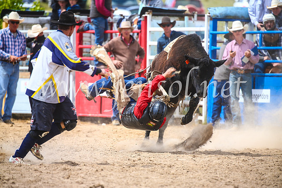 BungendoreRodeo2017_4108