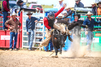 BungendoreRodeo2017_4098
