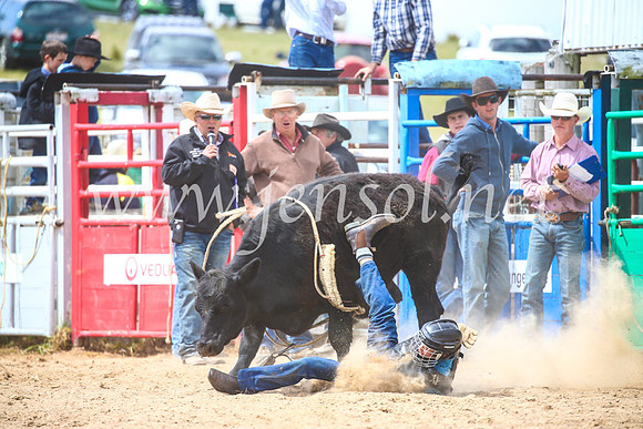 BungendoreRodeo2017_4168