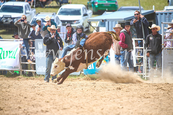 BungendoreRodeo2017_4164