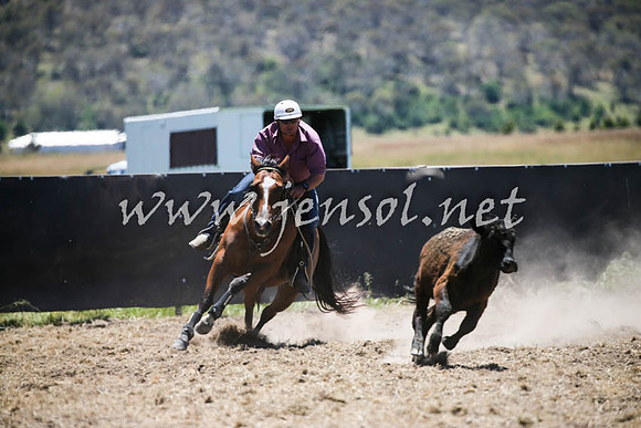 AdaminabyCampdraft2016_0162