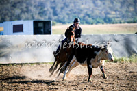 AdaminabyCampdraft2016_0048