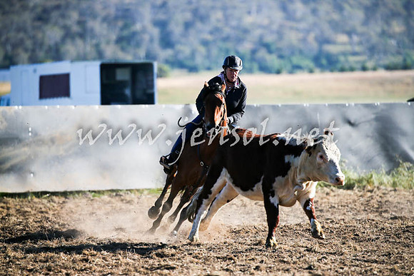 AdaminabyCampdraft2016_0048