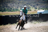 AdaminabyCampdraft2016_0113