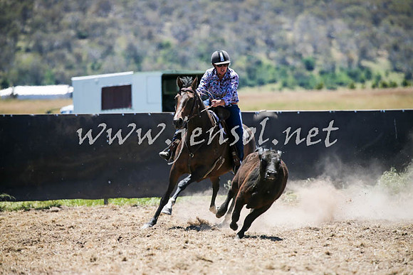 AdaminabyCampdraft2016_0213