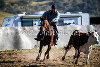 AdaminabyCampdraft2016_0035