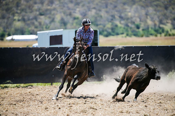 AdaminabyCampdraft2016_0210
