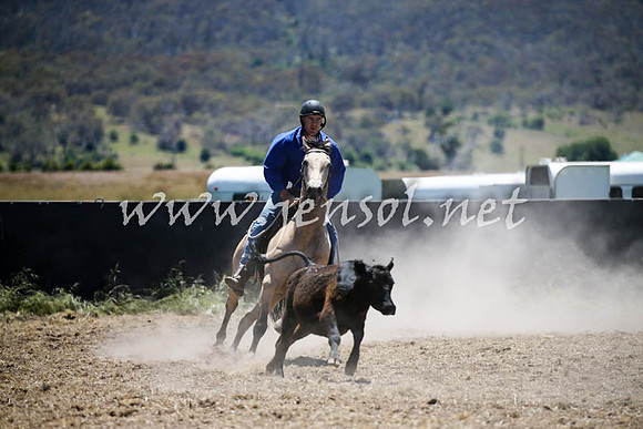 AdaminabyCampdraft2016_0136
