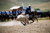 AdaminabyCampdraft2016_0064