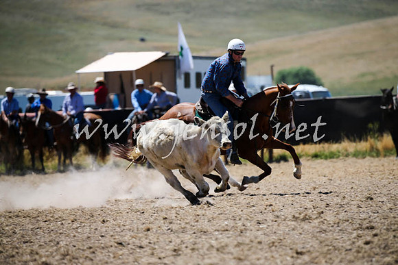 AdaminabyCampdraft2016_0064