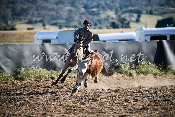 AdaminabyCampdraft2016_0014