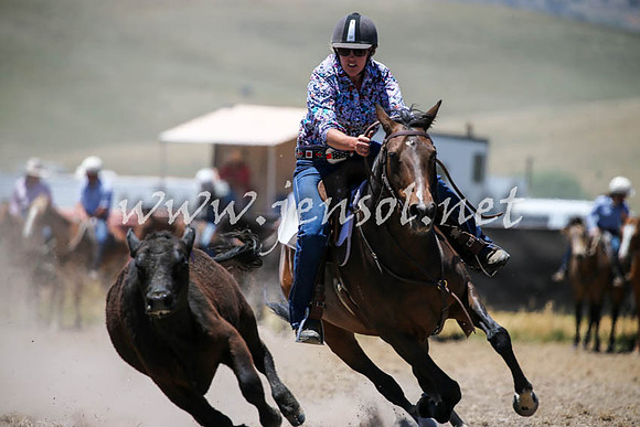 AdaminabyCampdraft2016_0221