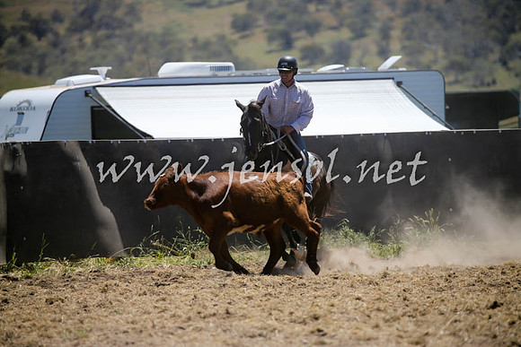 AdaminabyCampdraft2016_0103