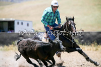 AdaminabyCampdraft2016_0127