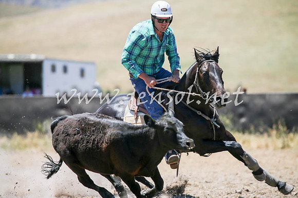 AdaminabyCampdraft2016_0127