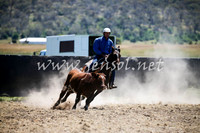 AdaminabyCampdraft2016_0090