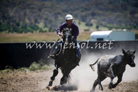 AdaminabyCampdraft2016_0109