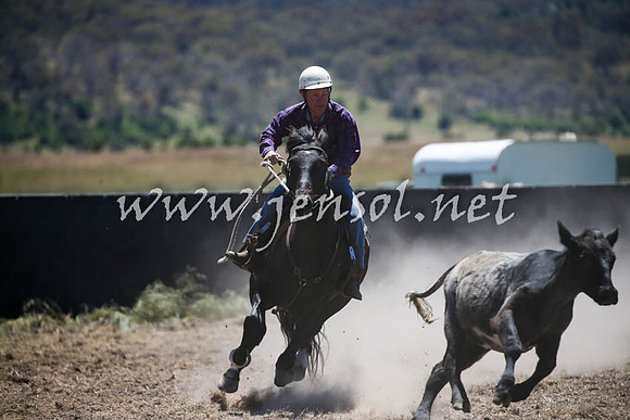 AdaminabyCampdraft2016_0109