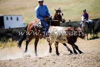 AdaminabyCampdraft2016_0082